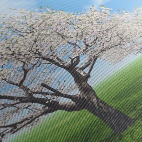 Tablou cu copaci (70x50 cm)