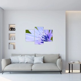 Tablou - Floare (90x60 cm)