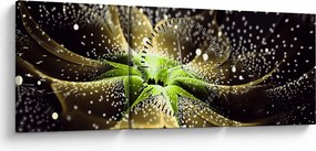 Tablou - Detaliu florii (cu ceas) (90x30 cm)