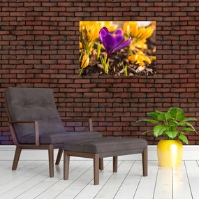 Tablou cu floare violetă (70x50 cm)
