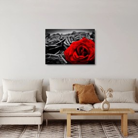 Tablou pe sticlă - Flori de trandafir (70x50 cm)