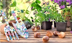 ShopJK SET UNELTE PENTRU CULTICARE EVA5986