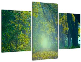 Tablou cu drum dea lungul cu copaci (90x60 cm)