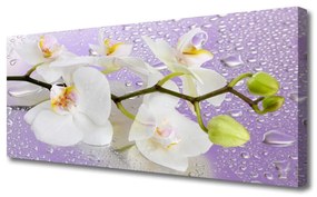 Tablou pe panza canvas Flori Floral alb