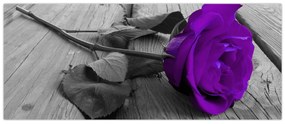 Tablou - Trandafir violet cu tulpina verde (120x50 cm)