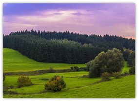 Tablou pe sticlă cu lunca (70x50 cm)