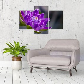 Tablou floarei (90x60 cm)
