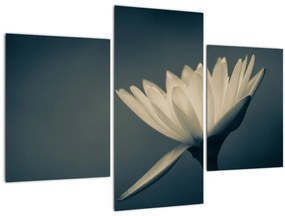 Tablou cu flori (90x60 cm)