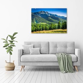 Imprimare tablou canvas Dealul din tatra
