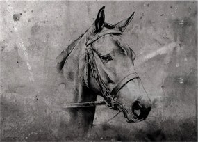 Tablou pe sticlă - Portret de cal (70x50 cm)