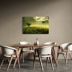 Tablou - Pădurea trezită (90x60 cm)
