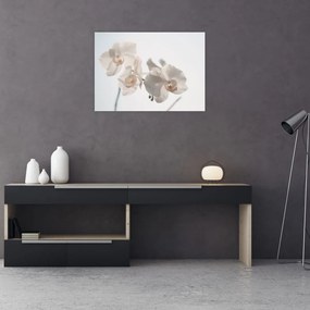 Tablou pe sticlă cu orhidee albă (70x50 cm)