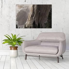 Tablou din valea Yosemite parcul național, SUA (90x60 cm)