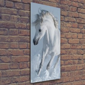 Tablou pe pe sticlă Cal alb în galop