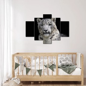 Tablou - Snow Leopard (150x105 cm)