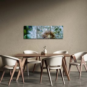 Tabloul cu păpădie desflorit (cu ceas) (90x30 cm)