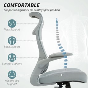 HOMCOM Scaun de birou ergonomic cu cotiere reglabile și tetieră, gri | Aosom Romania
