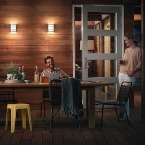 Aplică de exterior Philips 17323/47/16 PYTHON 1xLED/6W/230V IP44