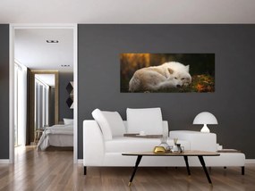 Tablou - Lupul care se odihnește (120x50 cm)
