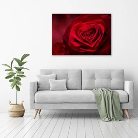 Tablou pe pânză canvas Inima trandafir rosu