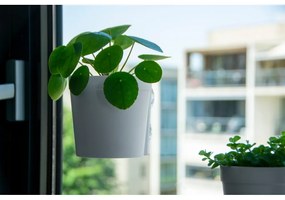 Set 2 ghivece cu ventuze pentru fereastră Esschert Design, înălțime 12,1 cm