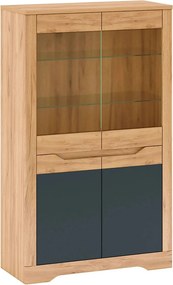 Vitrina FIDEL C, stejar artisan/gri grafit, PAL laminat, 95x42x160 cm