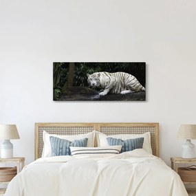 Tablou - Tigru alb (120x50 cm)