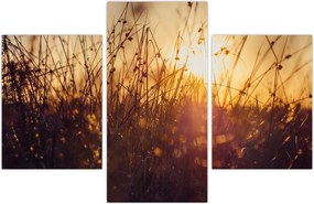 Tablou - Câmp la apus de soare (90x60 cm)