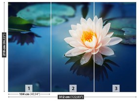 Fototapet Floare de lotus