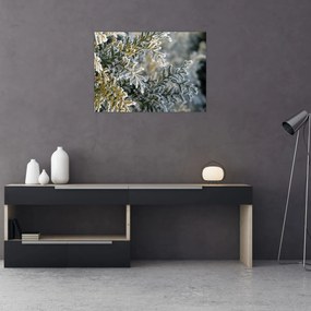 Tablou - Detaliu ramură (70x50 cm)