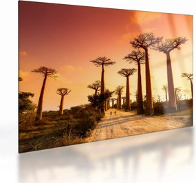 Tablou pe sticlă - Apus de soare pe Aleea Baobabilor (70x50 cm)