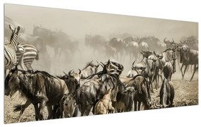 Tablou pe pânză K011152K12050 (120x50 cm), în 40 de alte dimensiuni noi