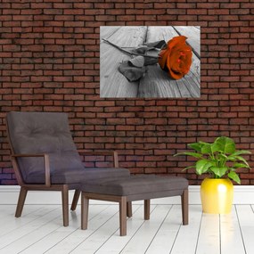 Tablou - Trandafir portocaliu (70x50 cm)