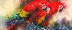Tablou - Papagali roșii ara (120x50 cm)
