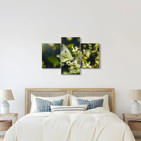 Tablou cu fluture (90x60 cm)