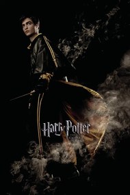 Poster de artă Harry Potter and the Goblet of Fire - Cedric