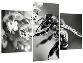 Tablou - Detaliu de albină (90x60 cm)