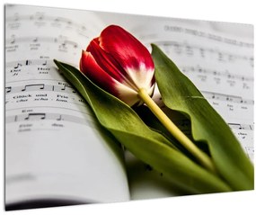 Tablou - Lalea roșie (90x60 cm)
