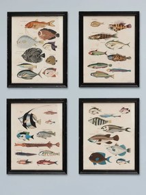 Set 4 tablouri, Louis Renard