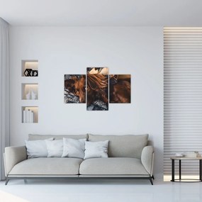 Tablou cu câini dormind (90x60 cm)