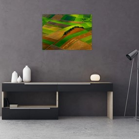 Tablou pe sticlă - Lan, luncile (70x50 cm)