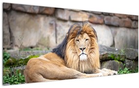 Tablou cu leu (120x50 cm)
