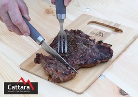 Set de tacâmuri pentru friptură Cattara Grill SHARK, 24 cm
