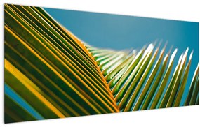 Tablou - Frunze de palmier (120x50 cm)