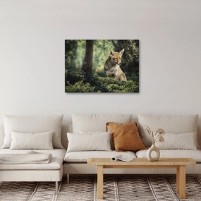 Tablou cu vulpe (70x50 cm)