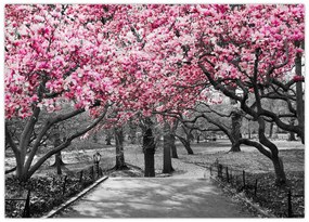 Tablou copacului magnolie (70x50 cm)