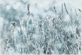 Tablou - Magia iernii (90x60 cm)