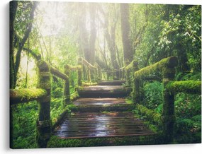 Tablou - trepte din lemn în pădure (70x50 cm)