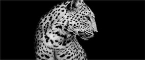 Tablou - Leopardul (120x50 cm)