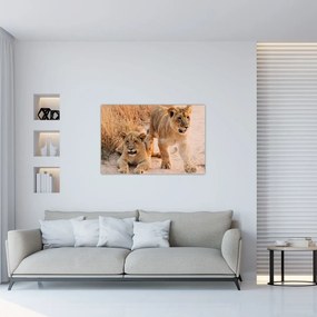 Tablou - Pui de leu (90x60 cm)